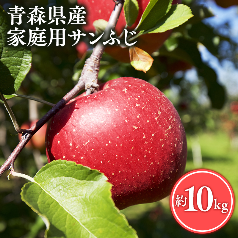 【4月発送】家庭用サンふじ10kg【丸勝木村商店・青森りんご】
