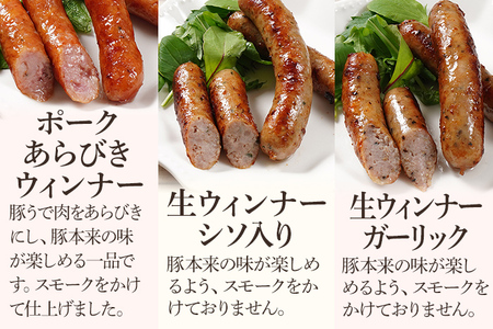 10種類のソーセージ 食べ比べ セット（Oセット） ウィンナー 生ウィンナー うえすたん セット 食べ比べ 詰め合わせ 福岡県 志免町