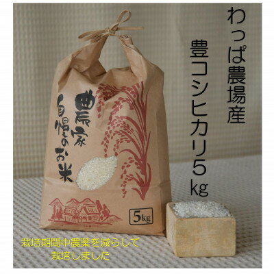【ふるさと納税】わっぱのお米5kg(低農薬豊こしひかり)【1714517】