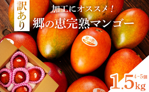 
                  【訳あり】 1.5kg 大崎完熟マンゴー「郷の恵（さとのめぐみ）」加工用マンゴー（糖度10度前後）
                