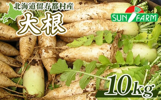 大根 10kg だいこん ダイコン オンライン 申請 ふるさと納税 北海道 留寿都 野菜 根菜 産地直送 新鮮 採れたて 大根おろし サラダ 切干大根 漬物 汁物 ビタミン 10キロ 留寿都村【24009】