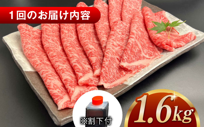 【全6回定期便】その旨味、最上級！「しまね和牛肉」 ロース すき焼き用 約1.6kg 【高級 焼肉勇花理(ゆうかり)】 島根県松江市/有限会社おき精肉店 [ALFT039]