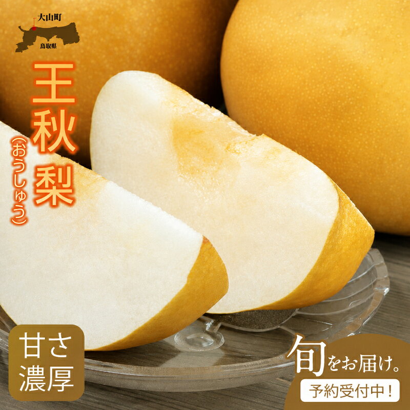 【ふるさと納税】王秋（おうしゅう）梨（5kg）【発送10月中旬以降】 梨 なし オリジナル フルーツ 鳥取県 鳥取県産 大山町 大山 お土産 返礼品 国産 お取り寄せ ご当地　DS-08