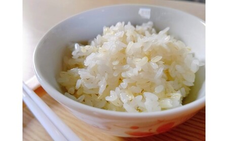 もち麦 キラリモチ ダイシモチ 食べ比べ もち麦【計2kg(各1kg)】