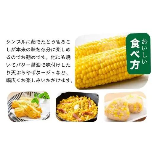 【先行予約2027年1月-5月配送】1番遅くて1番早い⁉ 朝採れプレミアムスイートコーンを皮付きのまま15本お届け！！