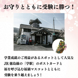 学業成就に！「入学米」合格祈願セット（2合×5袋）