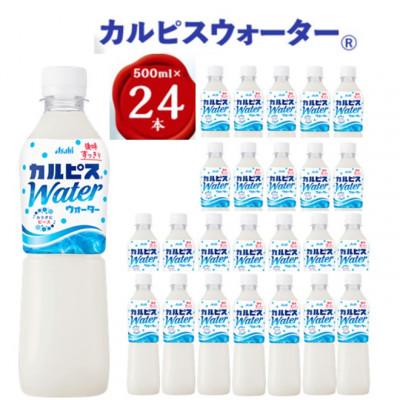 ふるさと納税 館林市 【2ヵ月毎定期便】『カルピスウォーター』PET500ml　24本　隔月全6回