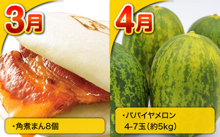 【12回定期便】長崎・南島原グルメ バラエティ定期便 / バラエティ セット 野菜定期便 フルーツ定期便 フルーツ 果物 野菜 やさい そうめん 角煮 皿うどん ちゃんぽん / 南島原市 / 贅沢宝庫