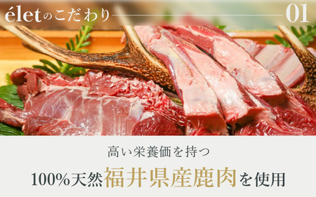 福井県産天然鹿使用の美容健康 ドックフード e'let 腸活 6個 【ドッグフード ジビエ 鹿肉 シカ 健康 犬 小型犬 中型犬 大型犬 ペット フード エサ 厳選】 [A-20004]