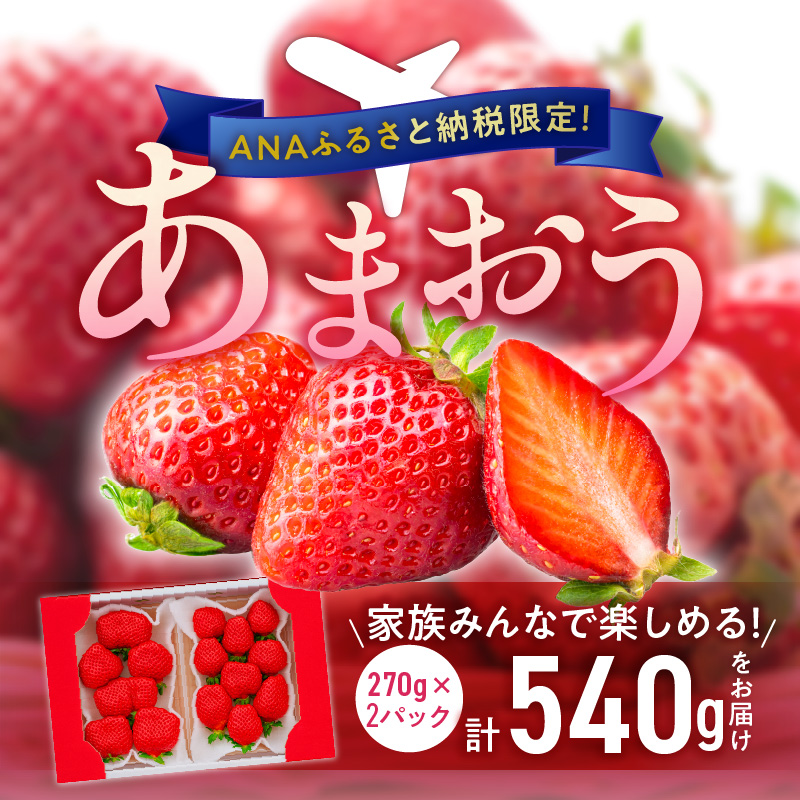 【ANA限定】苺（あまおう）270g×2パック×1箱 _ 特別規格 少量 気軽 限定セット 野田苺園 苺農園 こだわり 安心安全 新鮮 フルーツ 果物 ブランドいちご 福岡産 国産いちご おやつ デザ