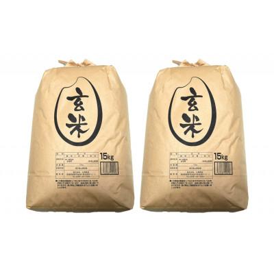 ふるさと納税 栗原市 【令和7年産】宮城栗原産 コシヒカリ 玄米30kg (15kg×2袋)