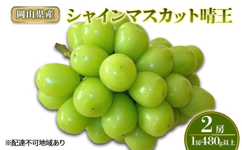 ぶどう 2026年 先行予約 シャインマスカット晴王2房(1房480g以上) 化粧箱入り ブドウ 葡萄 岡山県産 国産 フルーツ 果物 ギフト 
