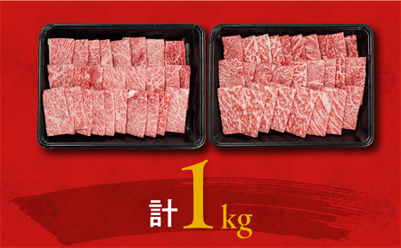 【母の日】宮崎牛焼肉2種セット500g×2パック≪5月8日～11日お届け≫_16-N202-MG_(都城市) 宮崎県産宮崎牛 肩ロース ウデ又はモモスライス 焼肉 (500g×2)1kg ギフト