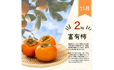 定期便【全3回/2～3・7・11月】紀州和歌山産旬のフルーツ定期便 (いちご・桃・富有柿)  / フルーツ定期便 果物定期便 定期便 くだもの フルーツ 柑橘 和歌山 苺 桃 柿【tkb373】