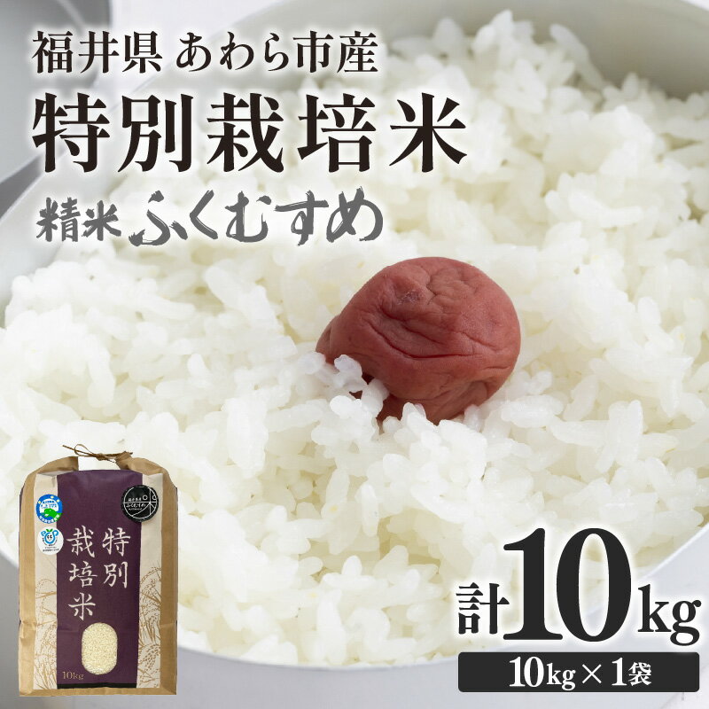【ふるさと納税】【令和7年産】化学肥料不使用 特別栽培米 ふくむすめ 精米 10kg × 1袋 / 白米 米 福井県あわら市産 美味しい 特別栽培米 減農薬 安心な米 旨味 甘み もっちり 冷蔵保管米 特栽米