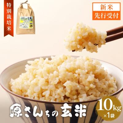 ふるさと納税 玖珠町 【令和8年産米先行受付】原さんちのお米 玄米 10kg にこまる 米 お米 こめ コメ ご飯