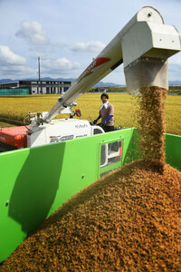 【令和7年産新米】新潟県阿賀野市産 新之助 5kg 3D03018