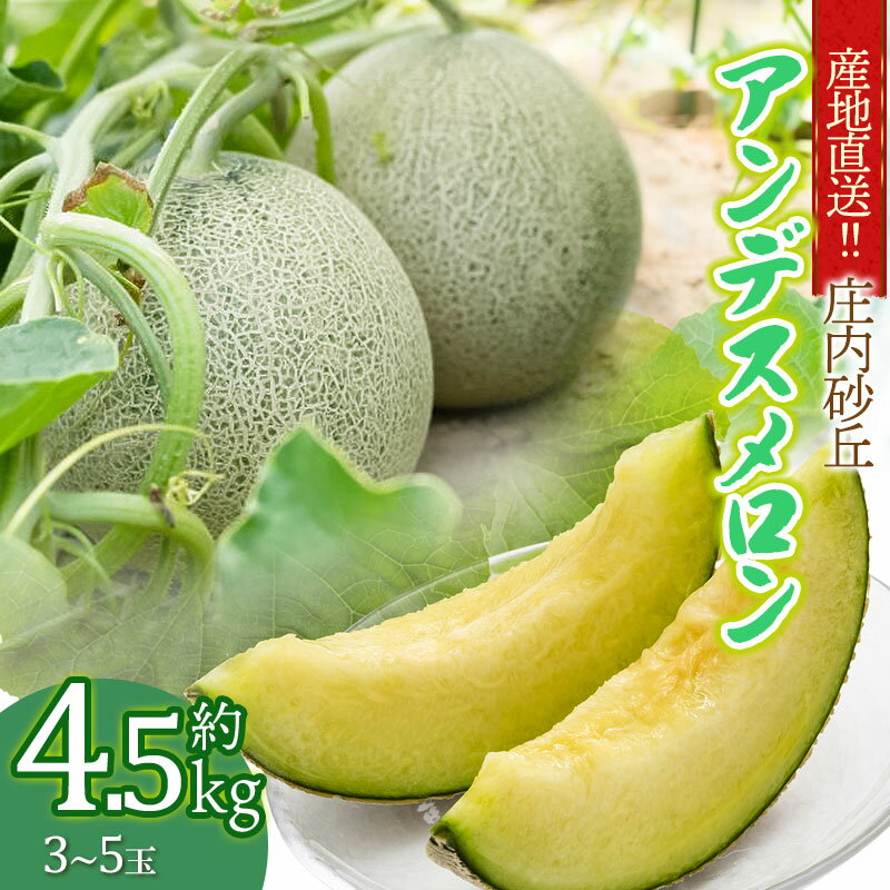 【ふるさと納税】【令和7年産先行予約】 産地直送!! 庄内砂丘アンデスメロン 約4.5kg (3玉〜5玉) K-733 | 山形県 鶴岡市返礼品 フルーツ 果物 くだもの お取り寄せグルメ 青肉 めろん 特産品 名産品