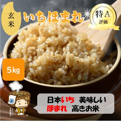 ふるさと納税 あわら市 【令和7年産】いちほまれ 玄米 5kg×1袋《新鮮な高品質米をお届け!》