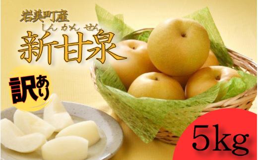 【先行予約】（訳あり）中野農園 梨 ”新甘泉” 5kg箱｜鳥取 岩美 梨 なし ナシ【41022】