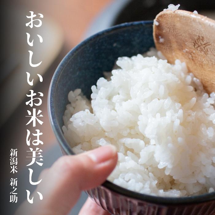  【令和7年産】6ヶ月定期便 特別栽培米 新之助 6kg (2kg×3袋)×6回 米杜氏 壱成 白米 精米 大粒 つや 光沢 弾力 芳醇 1H24133