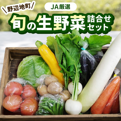 
                  ＜JAゆうき青森野辺地厳選＞野辺地町旬の生野菜詰め合わせセット【1542472】
                
