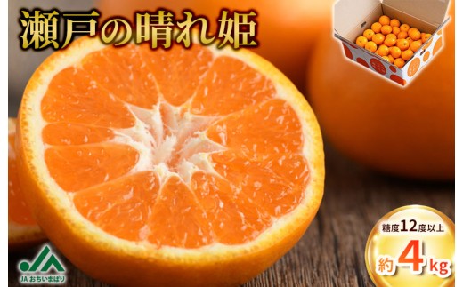 【先行予約】瀬戸の晴れ姫 4kg [KC01230] 2026年12月中旬～2027年1月中旬に順次発送予定 愛媛県産 愛媛県 期間限定 はれひめ 果物ふるさと 愛媛みかん 甘いみかん 果物 故郷納税フルーツ ふるさと納税ふるーつ ふるさと納税ミカン ふるさと納税愛媛みかん みかん箱買い JA [毎年売切れ]