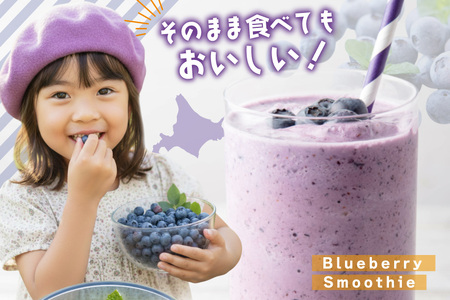 ブルーベリー 冷凍 1kg