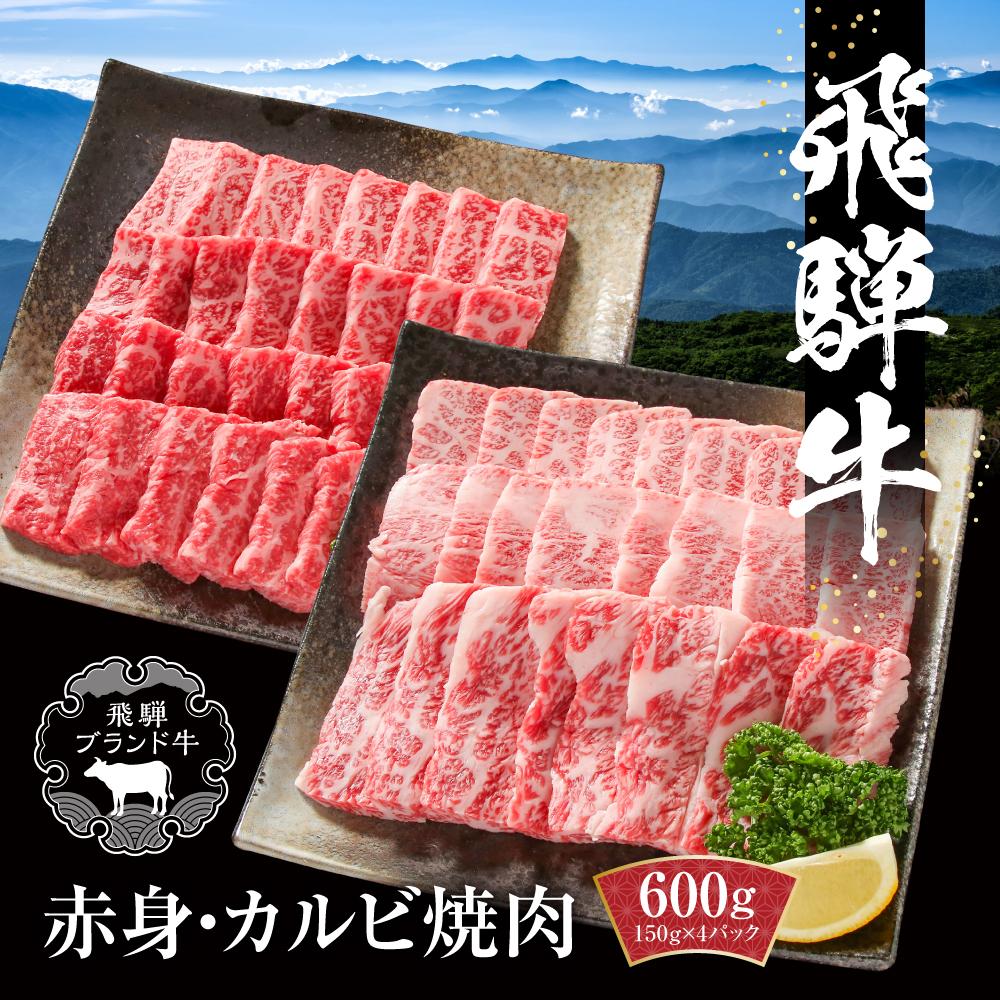 【ふるさと納税】飛騨牛 焼肉 厳選2種盛（赤身・カルビ） 600g（150g×各2パック） 冷凍真空パック | 肉 お肉 焼肉 焼き肉 やきにく 黒毛和牛 和牛 バーベキュー キャンプ 個包装 小分け 人気 おすすめ 牛肉 ギフト お取り寄せ【飛騨高山ミートMZ008】