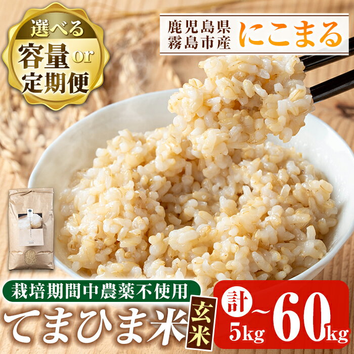 【ふるさと納税】令和7年産 容量・定期便が選べる！てまひま米・玄米(品種:にこまる)(計5kg・計10kg・計20kg・3回定期便・6回定期便・12回定期便)霧島市 お米 玄米 こめ コメ ご飯 栽培期間中農薬不使用 【末蜜農園】