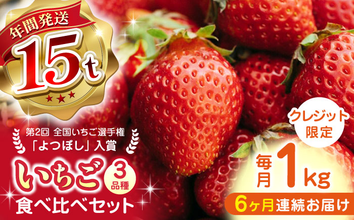 【先行予約】【全6回定期便】いちご食べ比べ セット 3品種 総計6.0kg ( 250g × 4P × 6回 ) 農園直送 熊本県産 山都町産 イチゴ ストロベリー【なかはた農園】[YBI004]