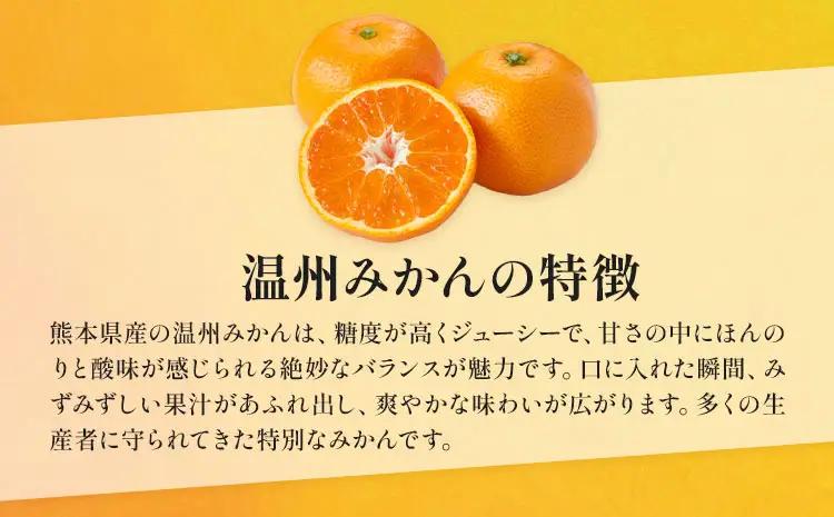 【3ヶ月定期便】 訳あり 温州みかん 約8kg 日本フルーツ株式会社 熊本県 荒尾市 《10月上旬-12月末頃出荷》 デコポン 果物 フルーツ スイーツ デザート