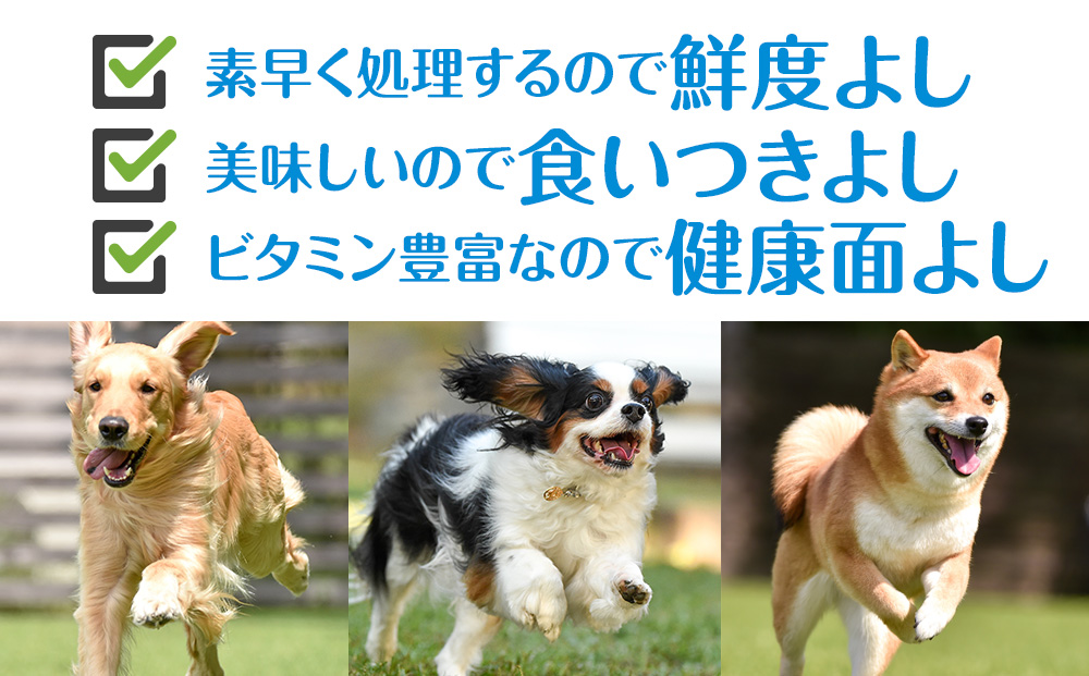 定期便 全4回 お楽しみ 犬 おやつ 無添加 国産 エゾ鹿肉 ジャーキー (150g) 犬用 トリーツ ペットフード ドッグフード 干肉 エゾシカ