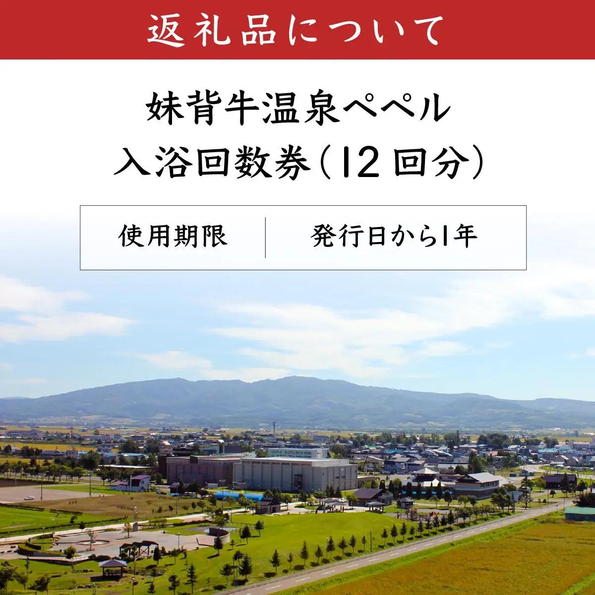 妹背牛温泉ペペル入浴回数券（12回分）