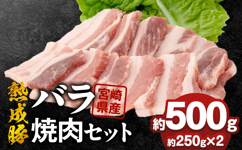 宮崎県産熟成豚 バラ焼肉セット 約250g×2個 N0105-YA2282