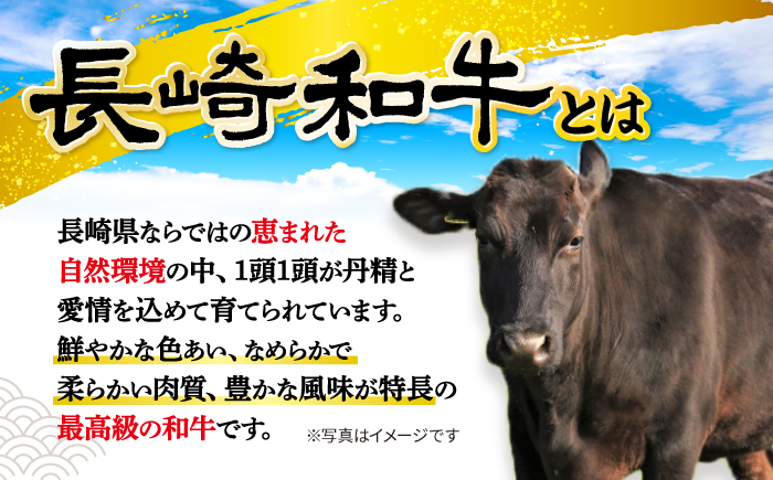 長崎和牛 サーロイン ステーキ 計600g（3枚）＜大西海ファーム食肉加工センター＞ [CEK191]
