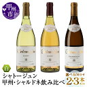 【ふるさと納税】 ワイン 白 750ml 2本 3本 選べる 組合せ シャトージュン 甲州 樽熟成 2022 フレンチオーク シャルドネ 飲み比べ 母の日 父の日 記念日 プレゼント 贈答 山梨 甲州市 (MG)