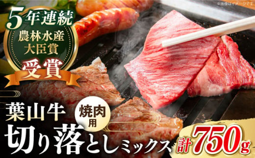 【幻の和牛】葉山牛 焼肉用 切り落とし ミックス ( 約750g × 1パック ロース モモ カルビ 等 ) 国産 和牛 牛肉 切り落とし 黒毛和牛 葉山牛 焼肉 やきにく 食べ比べ A5 牛肉 焼肉セット 牛肉 葉山町【葉山牛ステーキレストラン 角車】 [ASBD002]