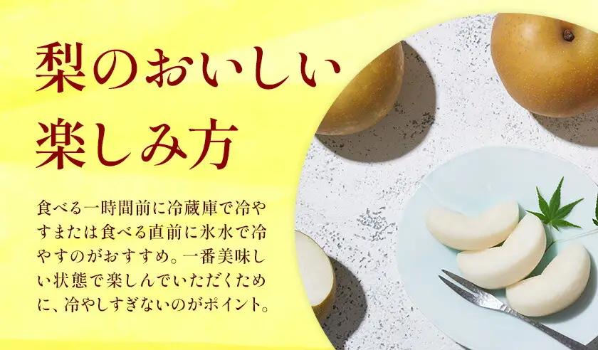 新高梨 3㎏ 日本フルーツ株式会社 梨