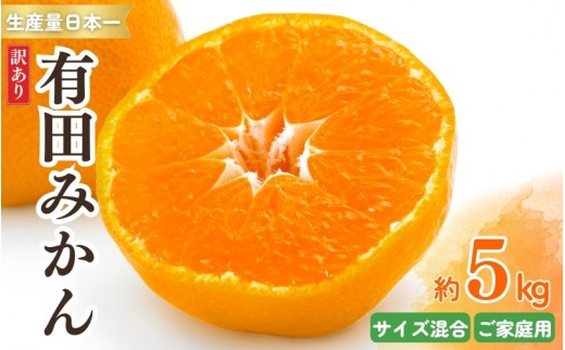 
                  紀州有田みかん 訳あり 約5kg キズ ご家庭用 サイズ混合　※2026年11月下旬頃より順次発送予定　※北海道・沖縄・離島配送不可【sml130A】
                