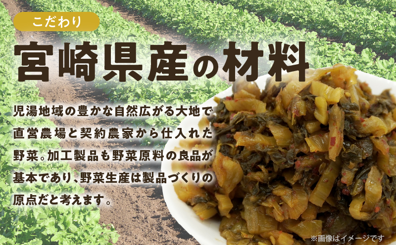 ＼ポスト投函／ピリ辛高菜 計1袋 (150g) 漬物 おかず 野菜 加工品 国産_T025-022