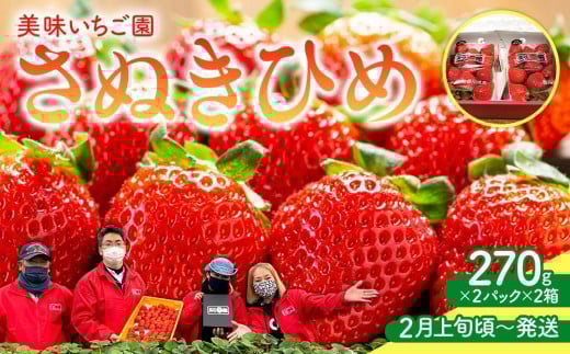 【2月上旬頃～発送】美味いちご園「さぬきひめ」さぬきひめ 270g×4パック