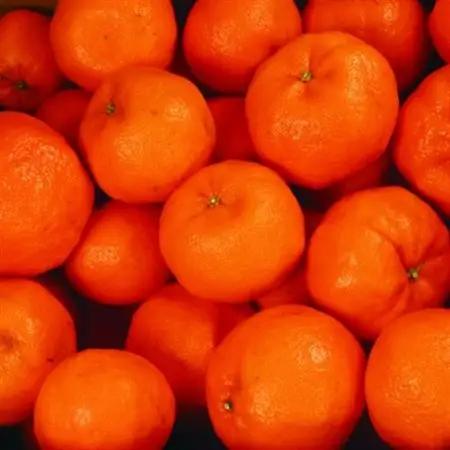 家庭用 ポンカン10kg+250g(傷み補償分)【訳あり】【光センサー選果】【配送不可地域：離島・北海道・沖縄県】【1644910】