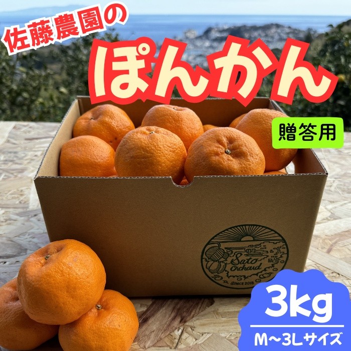 
                  東伊豆・佐藤農園のポンカン　贈答用3kg（Mサイズ～3Lサイズ） 1318 ／ 佐藤農園 果物 フルーツ 農家直送 静岡県 東伊豆町
                