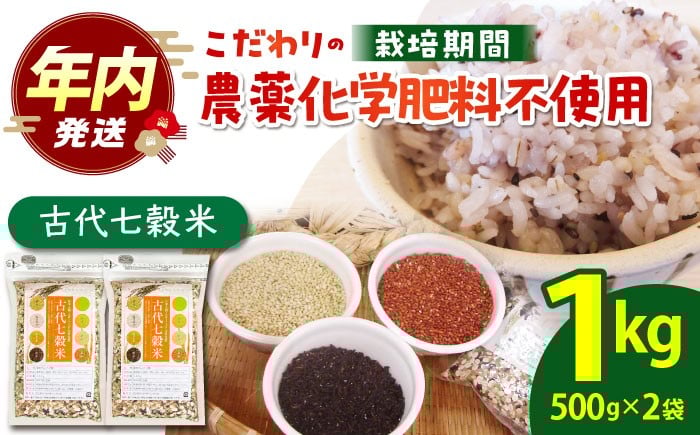 古代七穀米 ( 500g×2個セット ) 【だいちの家】[HAG003] 雑穀 雑穀米 古代米 発芽玄米 玄米 黒米 麦