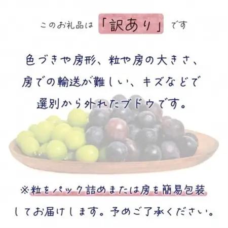 岡山　花笑み農園のブドウ『訳あり2種MIX』1kg　W2M-1【配送不可地域：離島・北海道・沖縄県】【1628310】