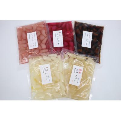 ふるさと納税 北杜市 味彩彩　国産無添加　らっきょう(5種)　130g×5袋 |  | 02