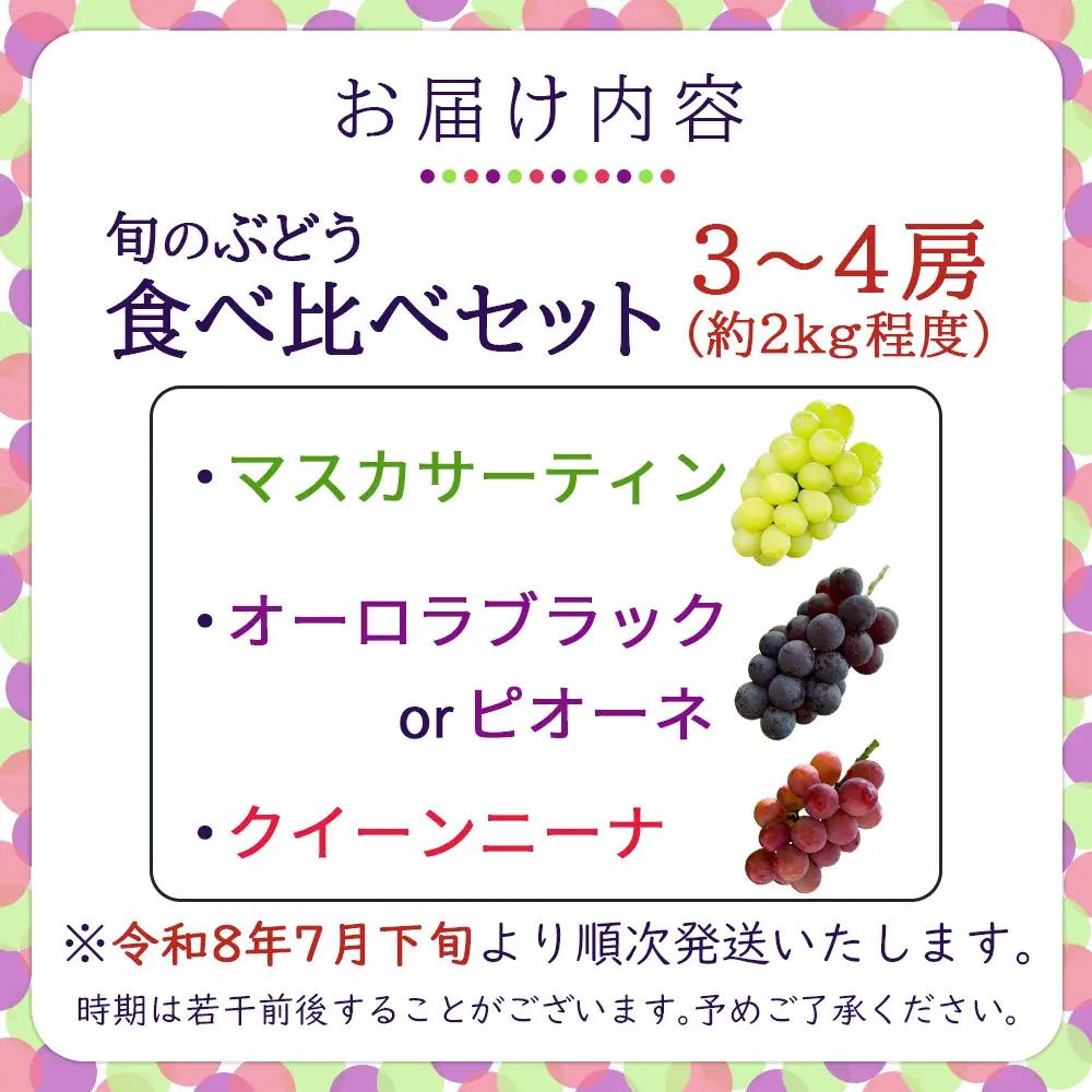旬のぶどう３種食べ比べ アソート 計2kg程度（ マスカサーティン オーロラブラック・ピオーネ クイーンニーナ ） ぶどう ブドウ マスカサーティン シャイン マスカット フルーツ 果物 ぶどう食べ比