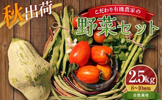 《先行予約》＜秋出荷＞こだわり有機農家の野菜セット 2.5kg(8～10種類)  自然栽培 オーガニック 有機栽培 無農薬 野菜 セット 詰合せ 化学肥料不使用 動物性肥料不使用 先行予約 予約 食品 F4D-0131