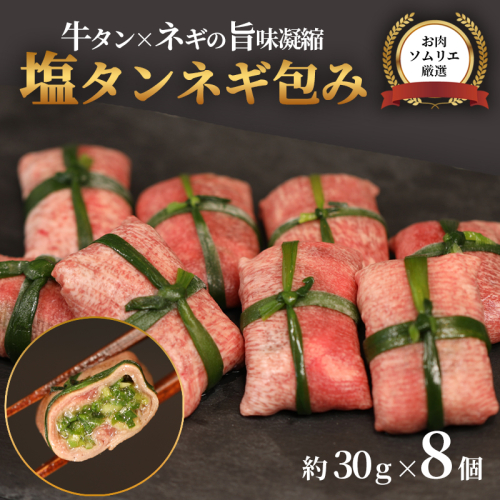 【お肉ソムリエ厳選】 塩タンネギ包み 8個入 約30g×8個 | 牛たん タン塩 塩タン ネギ 牛 牛肉 ビーフ 塩味 厳選 人気 焼肉 冷凍 小分け ギフト 贈答用 美味しい お勧め おすすめ 熨斗 舞鶴市 京都府